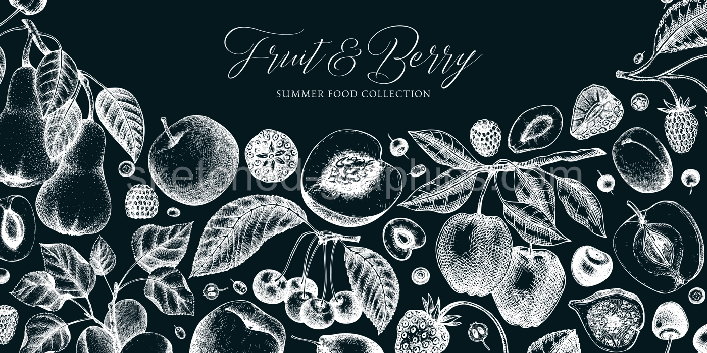 Berry and fruit background on chalkboard. Cherry, plum, apple, peach, apricot, fig, strawberry in sketch style. Hand-drawn fruit tree banner template in vintage style. Illustration